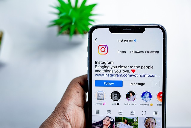 instagramvivo注册教程