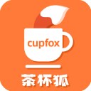 茶杯狐cupfox安卓版